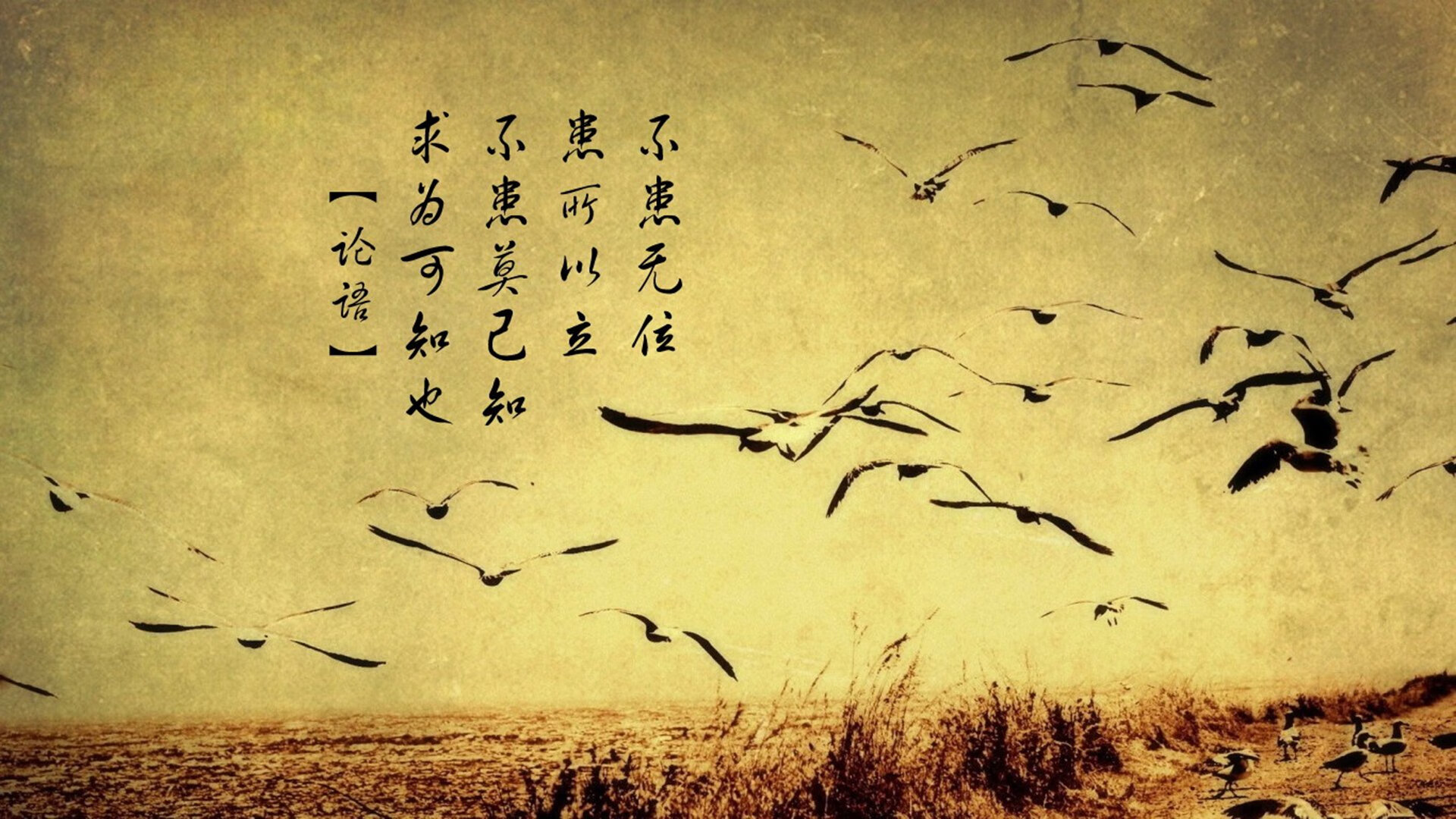 篮球专项体能训练周期化设计与效果分析，篮球运动项目体能训练计划